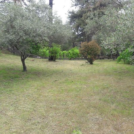 Villa Leo Glykadi 外观 照片